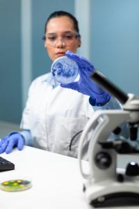 3D Cell Culture Market- insightSLICE