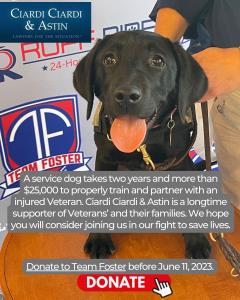 Service Dog Trained by Team Foster