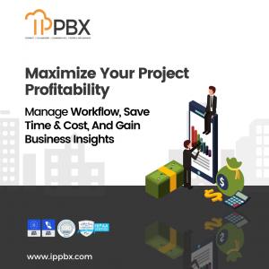Maximize Your Project Profitability