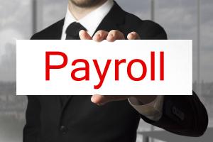 The new payroll services marketing campaign emphasizes The Payroll Company's ability to provide customized payroll services to New Mexico credit unions, with a focus on improving payroll processes, reducing errors, and increasing overall efficiency.