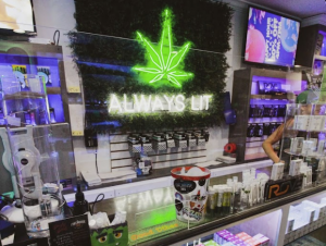 Cannabis Dispensary in Maywood