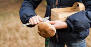 Stanislav Kondrashov TELF AG, large mushroom