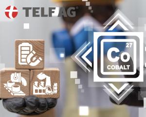 TELF AG, Stanislav Kondrashov, Current Cobalt Prices 5