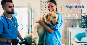 two veterinarians examine a dog in a veterinary office