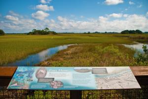 Marsh at Fort Mose