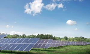 A field of solar panels at New Windsor Community Solar in the Central Hudson NY utility territory.