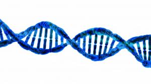 expanding human genome - DNA strand