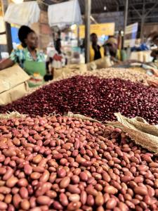 Image shows volumes of dry beans at a market with a woman in the background.