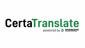 website translator program