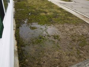 drainage, yard drainage, landscape drainage, drainage contractor