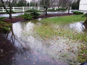 Yard drainage, drainage, landscape drainage, Drainage Company, Drainage contractor, flooded yard
