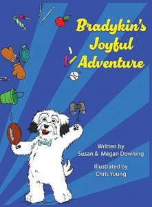 Bradykin's Joyful Adventure