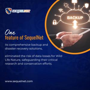 Comprehensive Backup and Disaster Recovery