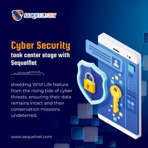 SequelNet-Cyber Security
