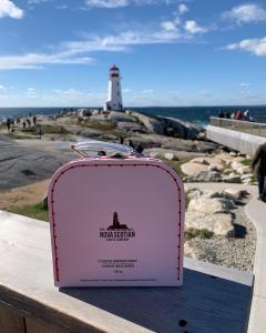 Our cookies in suitcase box at Peggy's Cove, Nova Scotia, Canada