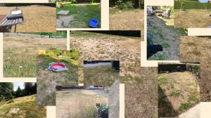 Ugly lawns shared by Swedes 2023