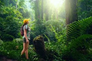 Ecotourism
