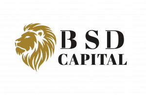 BSD Capital Logo