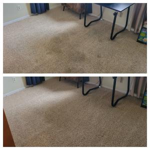 carpet cleaning in encino