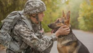 K9s for Veterans provides therapeutic service dogs and supports initiatives that improve the quality of life for vets.