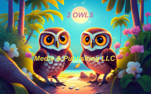 2 Owls Colorful Logo