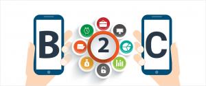 B2C E-commerce Market