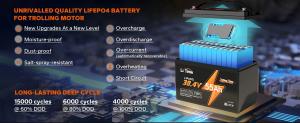litime 36v 55ah lifepo4 lithium battery