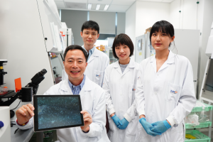 Prof Zhang and his team showing the cultivated cells