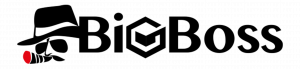 BigBoss Logo