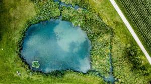 pond algae growth from above