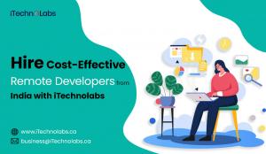 remote developers
