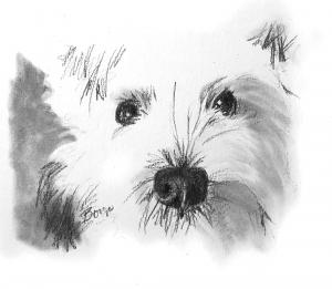 Westie depicted by artist Deborah Borgo for the Westie Foundation of America