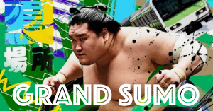 Sumo Wrestling Swerve Combat Japan Sumo Association JSA
