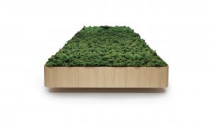 BioDisplay™ filled with moss.