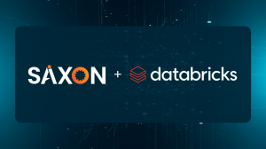Databricks Partner