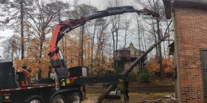 Tree Service In Atlanta, GA Tree Removal From House