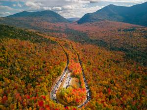 Vibrant fall forest with a winding road, representing Solaxy Group's reforestation efforts.
