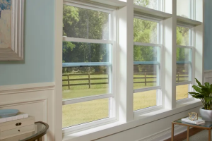 Double Hung Window Services