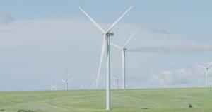 Established with a foundation in hydropower, coal and natural gas, Platte River became Colorado’s first utility to harness wind energy in 1998.
