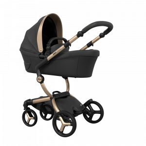 xari max Black and Gold Special Edition with bassinet accessory