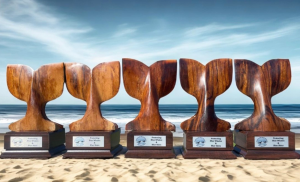 Awards made of wood with carved whale tails lined up on beach with waves behind