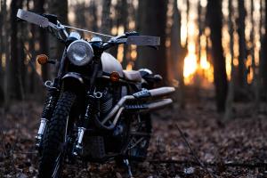 Gryffin 450 Scrambler in the woods