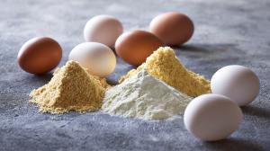 Whole Egg Powder Manufacturing Plant Project Report