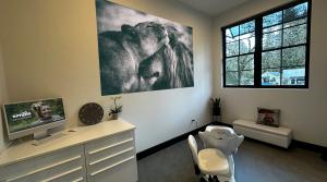 consultation room with chair and desk