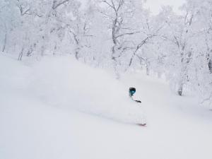 Snowboarder in deep powder snow at Rusutsu ski resort Japan