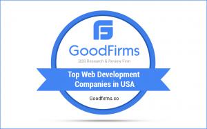 Top Web Development Companies in USA