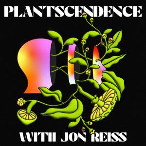 Plantscendance cover art features a face with psychedelic mushrooms, anime style in the shape of an LP (album)..