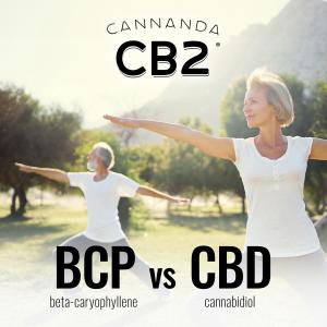 Beta-caryophyllene (BCP), featured in Cannanda CB2 oil, pain, inflammation, neuroinflammation, brain fog, anxiety, migraines, mitochondrial function, cognitive health, blood sugar, arthritis, and immune modulation.