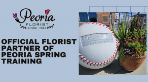Peoria Flower Cactus Arrangement for Peoria Sports Complex