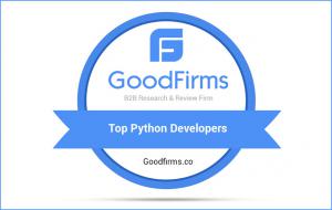 Top Python Developers